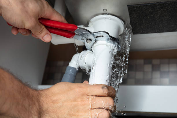 Best Professional water damage repair  in Meadville, PA