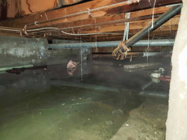 Best Local water damage restoration  in Meadville, PA