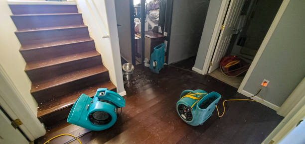 Best 24-hour water damage restoration  in Meadville, PA