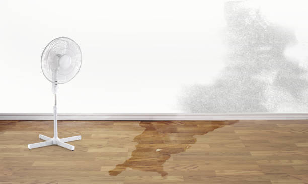 Local water damage restoration in Meadville, PA