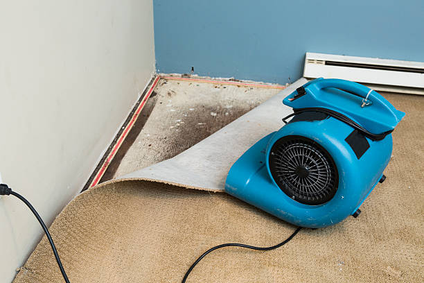 Sewage cleanup and water damage restoration in Meadville, PA